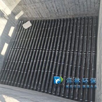 PE翻板濾池縣自來水廠中水回用面包管