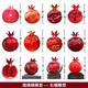 玻璃鋼石榴雕塑制作圖