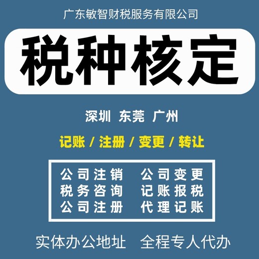 广州南沙公司核名执照代办,工商注册,财务审计