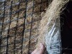 青海高陡边坡固体绿化秸秆草毯椰丝降解后成为植被的养料