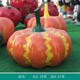 水果蔬菜雕塑生產(chǎn)廠家圖