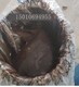 AMP橋面瀝青防水涂料圖