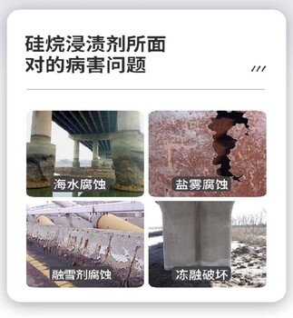 河南硅烷浸漬劑橋梁海港防水劑防腐劑