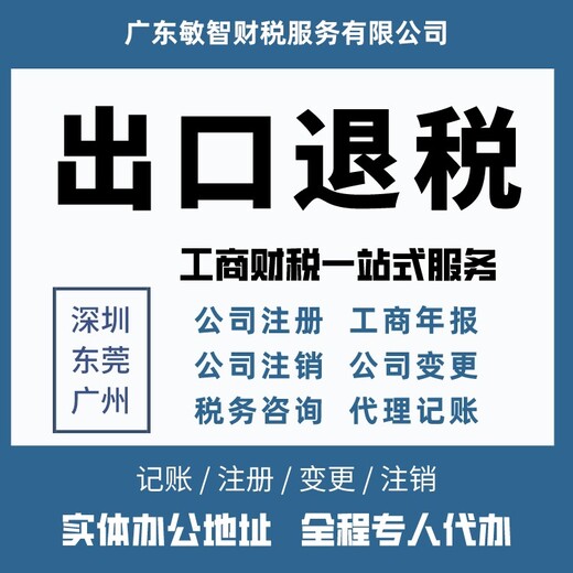 东莞麻涌镇公司代理记账记账报税,公司名称核准,公司代理记账