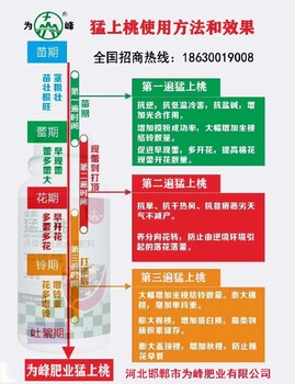 棉花控旺为峰肥业棉花叶面肥价格棉花整枝塑形免打顶剂