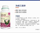 棉花打顶剂棉花叶面肥用法用量棉花整枝塑形免打顶剂图片