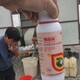 棉花保鈴素為峰肥業(yè)棉花葉面肥定做加工棉花化控劑產品圖