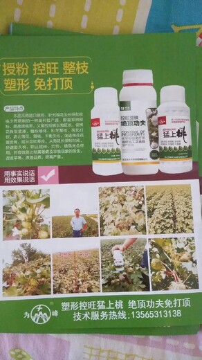 棉花蕾铃多为峰肥业棉花叶面肥厂家招商棉花化控剂
