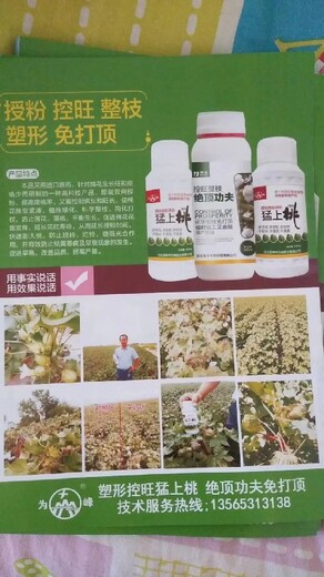 棉花蕾鈴多為峰肥業(yè)棉花葉面肥廠家招商棉花化控劑