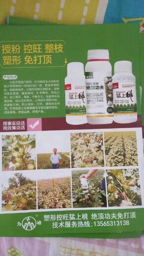 棉花蕾铃多棉花叶面肥多少钱棉花整枝塑形免打顶剂