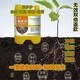 定根水防爛根生根肥圖