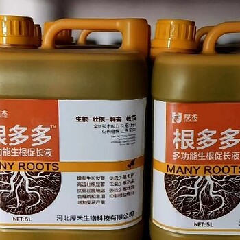 生根粉生根肥毛細(xì)根增多