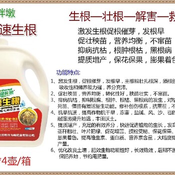 定根水為峰肥業生根肥用法用量