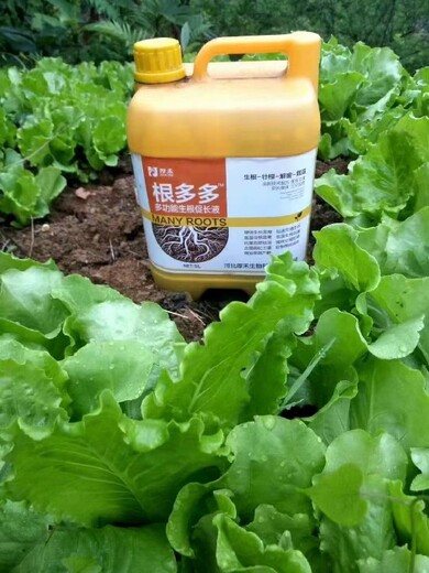 生根營養(yǎng)液根旺苗壯生根肥生根效果好