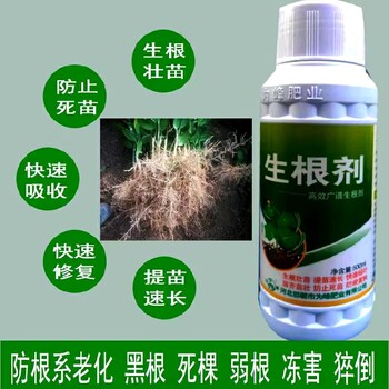 定根水為峰肥業生根肥用法用量