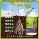 生根粉生根肥价格产品图
