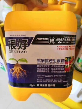 生根粉生根肥毛細(xì)根增多