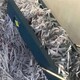 廢紙銷毀圖