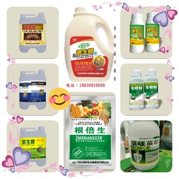 定根水為峰肥業(yè)生根肥代理