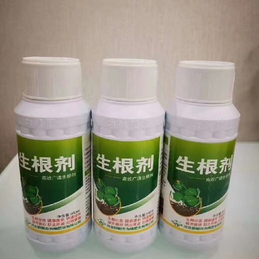 防爛根生根肥毛細根增多