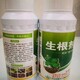 生根肥怎么樣圖