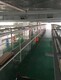 坪山新區(qū)流水線回收圖