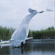 金属不锈钢鲸鱼雕塑模型产品图