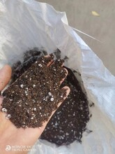 无土栽培专用水溶肥扦插育苗专用盆图片