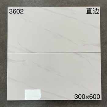 雅士白墻磚墻磚廠家瓷片