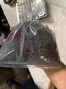 龍灣區(qū)專業(yè)鈀碳回收,二手鈀碳回收價格表