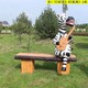 仿真玻璃鋼動(dòng)物座椅雕塑景觀小品圖