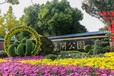 威縣2024國慶節綠雕花燈圖片
