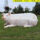 玻璃鋼動物座椅雕塑圖