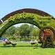 大城縣2024春節(jié)綠雕花籃圖片圖