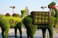 渭濱區2024國慶綠雕花籃花燈圖片