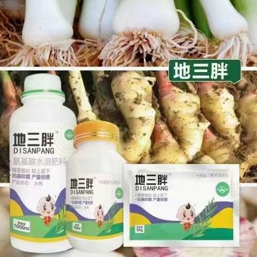 地下狂長紅薯根莖膨大素廠家批發(fā)
