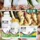 根莖膨大素代理圖