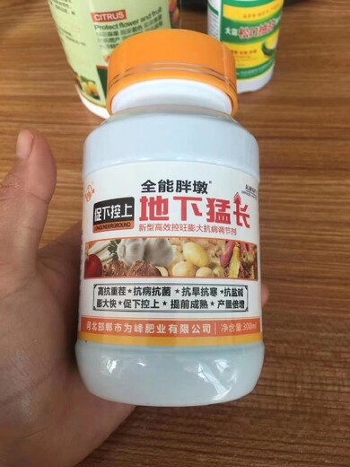 地下飆長大蒜根莖膨大素多少錢