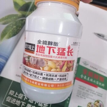 地三胖大蒜根茎膨大素高产水溶肥