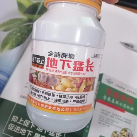 根茎膨大剂土豆根茎膨大素厂家