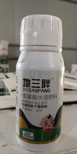 根莖增粗大姜根莖膨大素高產(chǎn)水溶肥