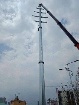 七台河电力钢杆供应商220kv电力杆塔