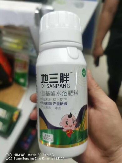 根莖增粗蘿卜根莖膨大素代理