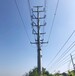 巴彦淖尔电力钢杆结实耐用输电电力钢管杆