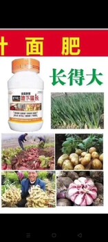 胖墩土豆根莖膨大素膨大增產(chǎn)葉面肥