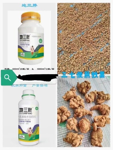 胖墩土豆根茎膨大素定做加工