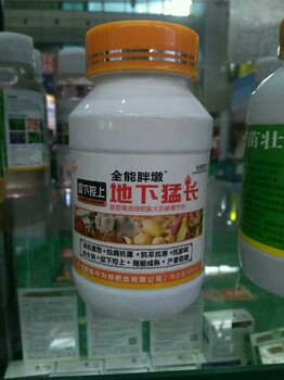 胖墩大姜根莖膨大素代理