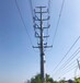 荆州电力钢杆供应商输电电力钢管杆