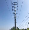 巴彦淖尔电力钢杆结实耐用电力钢杆厂家