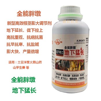 日夜大洋蔥根莖膨大素多少錢